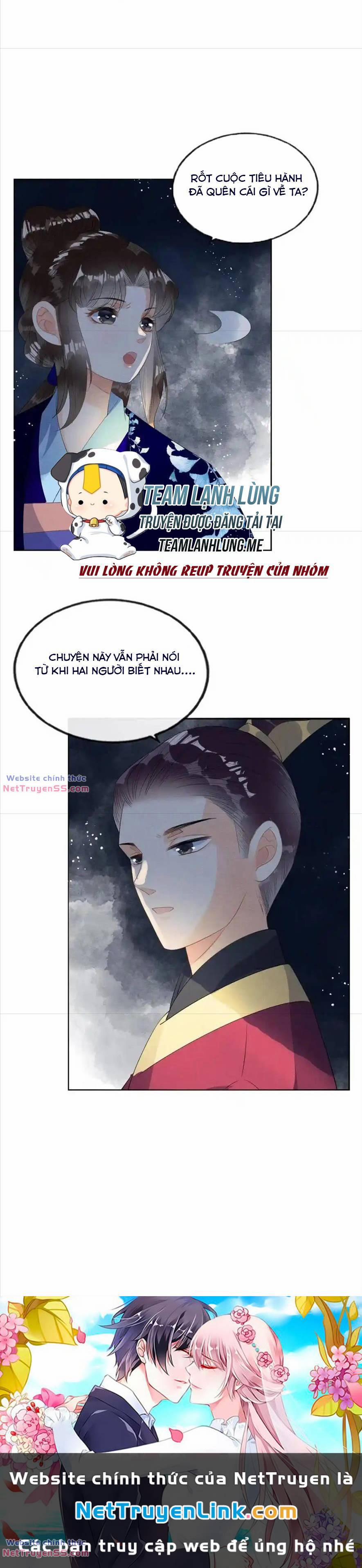 Tiêu Rồi, Lại Bị Bệnh Kiều Để Mắt Đến! 49 trang 13