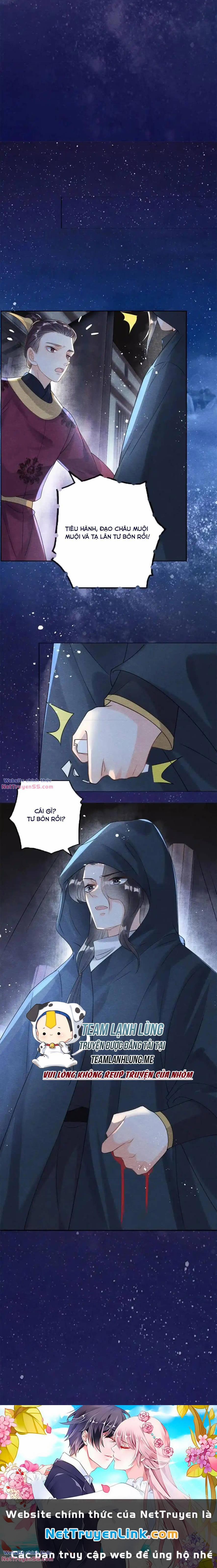 Tiêu Rồi, Lại Bị Bệnh Kiều Để Mắt Đến! 57 trang 11