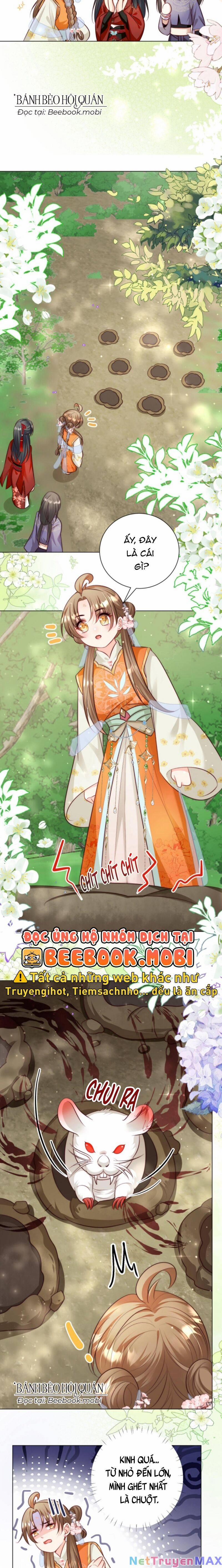 Tiểu Sư Muội Rõ Ràng Rất Mạnh, Nhưng Lại Quá Tấu Hề 68 trang 2