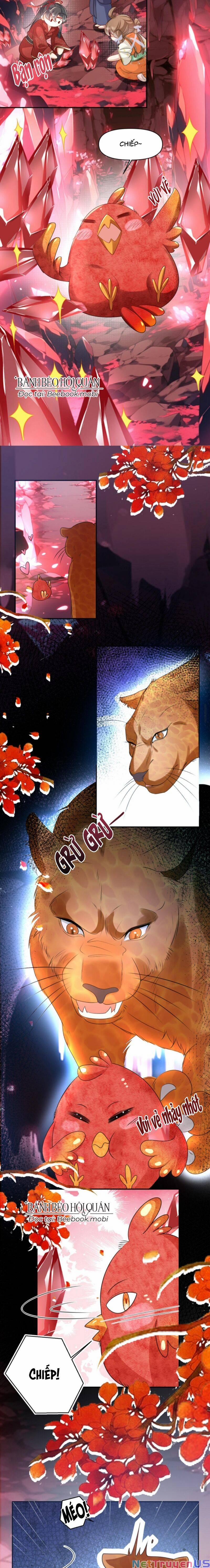 Tiểu Sư Muội Rõ Ràng Rất Mạnh, Nhưng Lại Quá Tấu Hề 72 trang 4