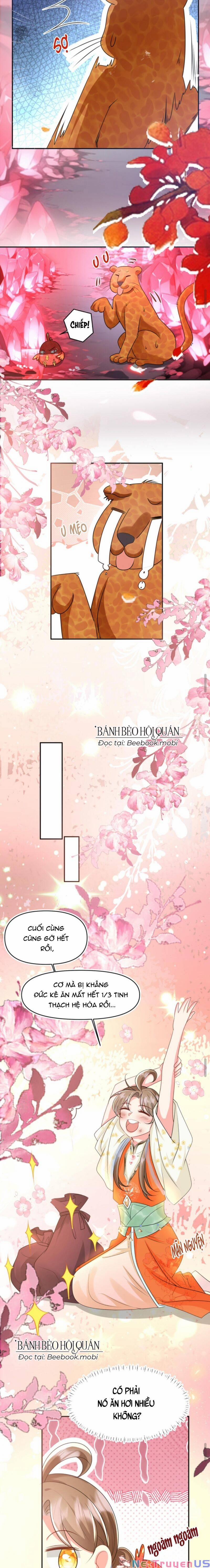 Tiểu Sư Muội Rõ Ràng Rất Mạnh, Nhưng Lại Quá Tấu Hề 72 trang 5