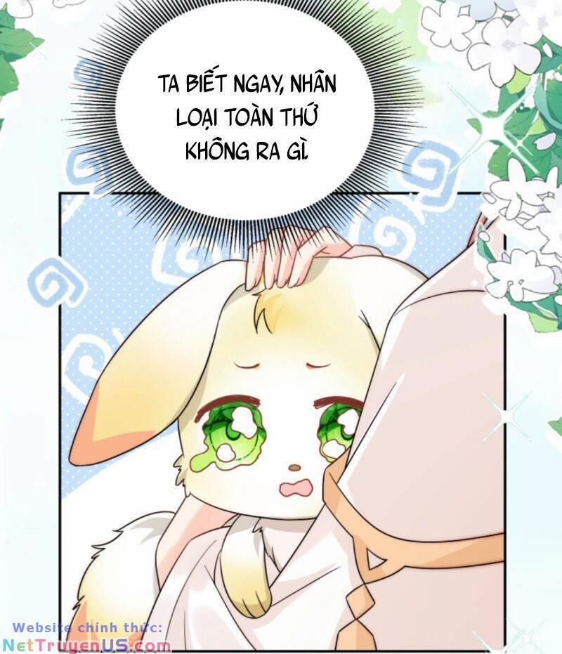 Tiểu Sư Muội Rõ Ràng Rất Mạnh, Nhưng Lại Quá Tấu Hề 74 trang 16