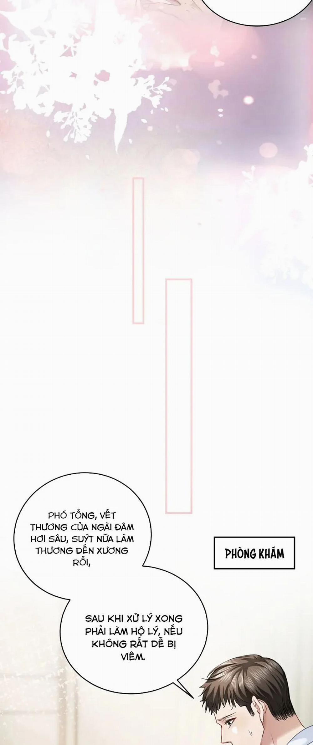 Tiểu Thiếu Gia Dựa Vào Mỹ Mạo Hoành Hành Toàn Hệ Thống 19 trang 12