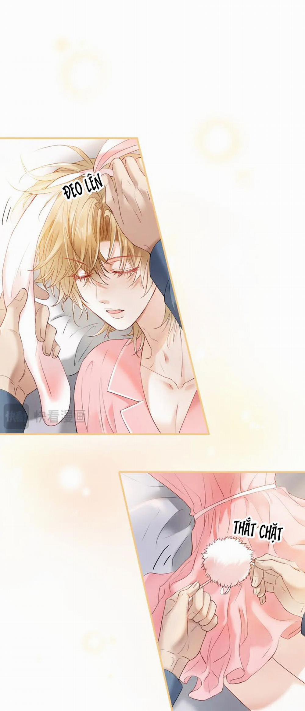 Tiểu Thiếu Gia Dựa Vào Mỹ Mạo Hoành Hành Toàn Hệ Thống 23 trang 22