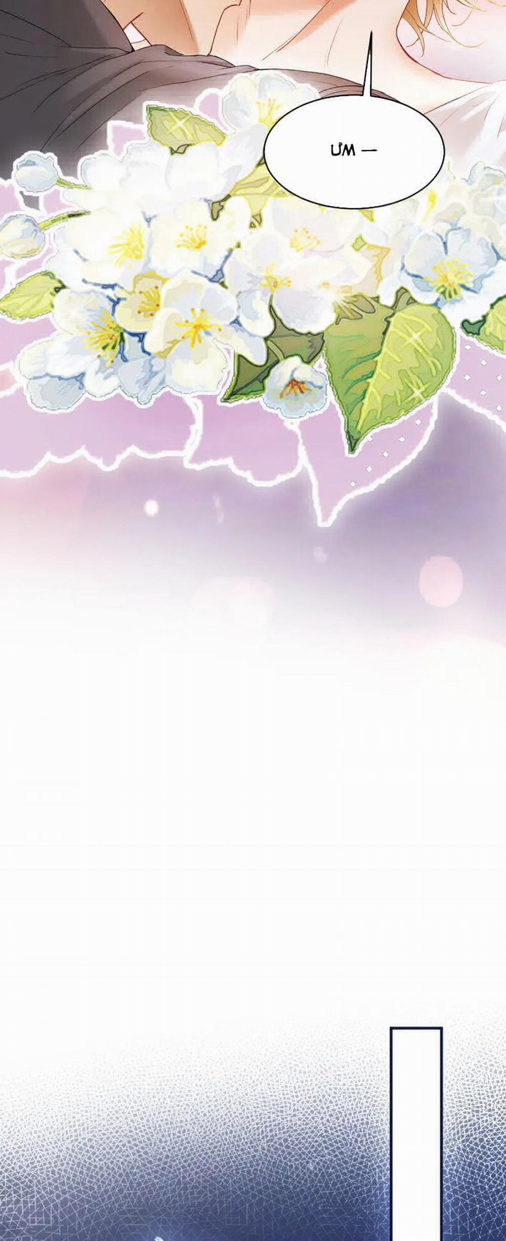 Tiểu Thiếu Gia Dựa Vào Mỹ Mạo Hoành Hành Toàn Hệ Thống 26 trang 24