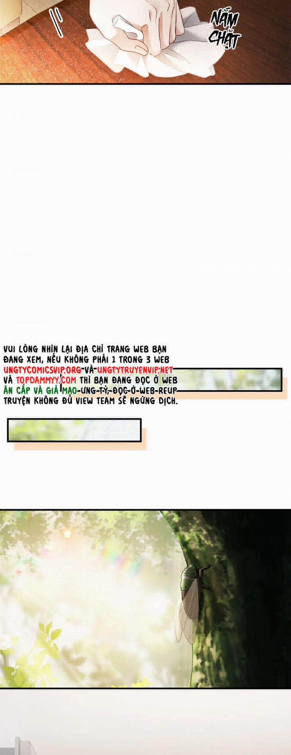 Tiểu Thiếu Gia Dựa Vào Mỹ Mạo Hoành Hành Toàn Hệ Thống 45 trang 14