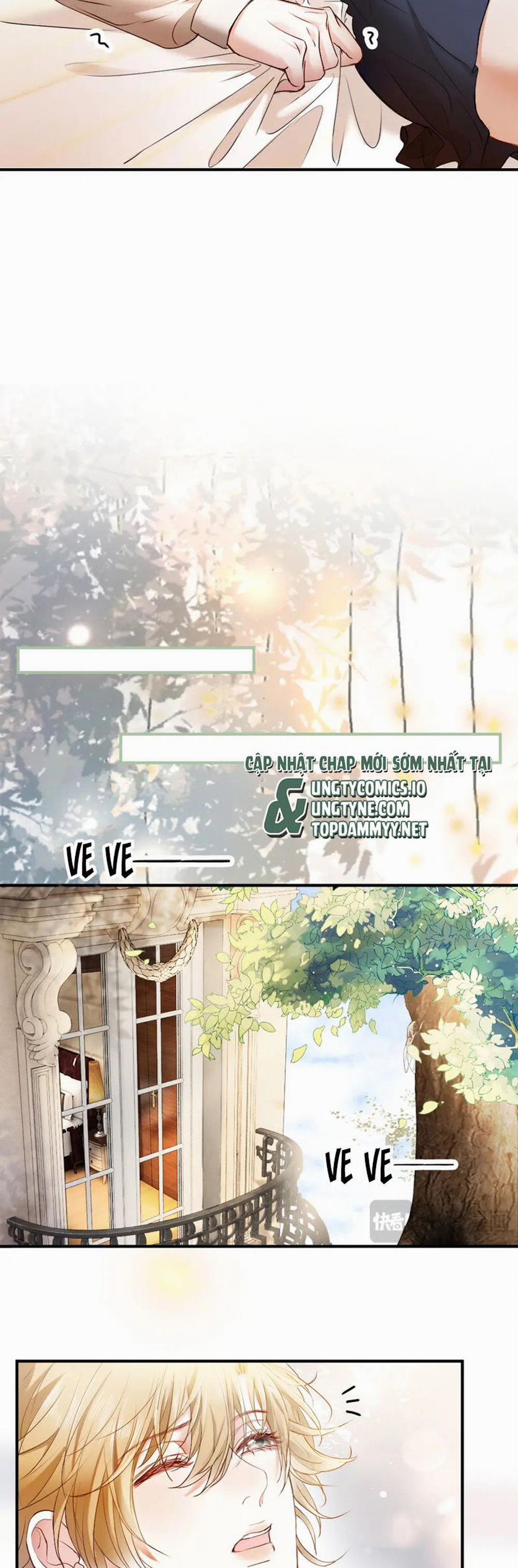 Tiểu Thiếu Gia Dựa Vào Mỹ Mạo Hoành Hành Toàn Hệ Thống 52 trang 14