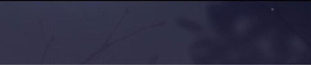 Tiểu Thiếu Gia Dựa Vào Nhan Sắc Càn Quét Toàn Hệ Thống 10 trang 3