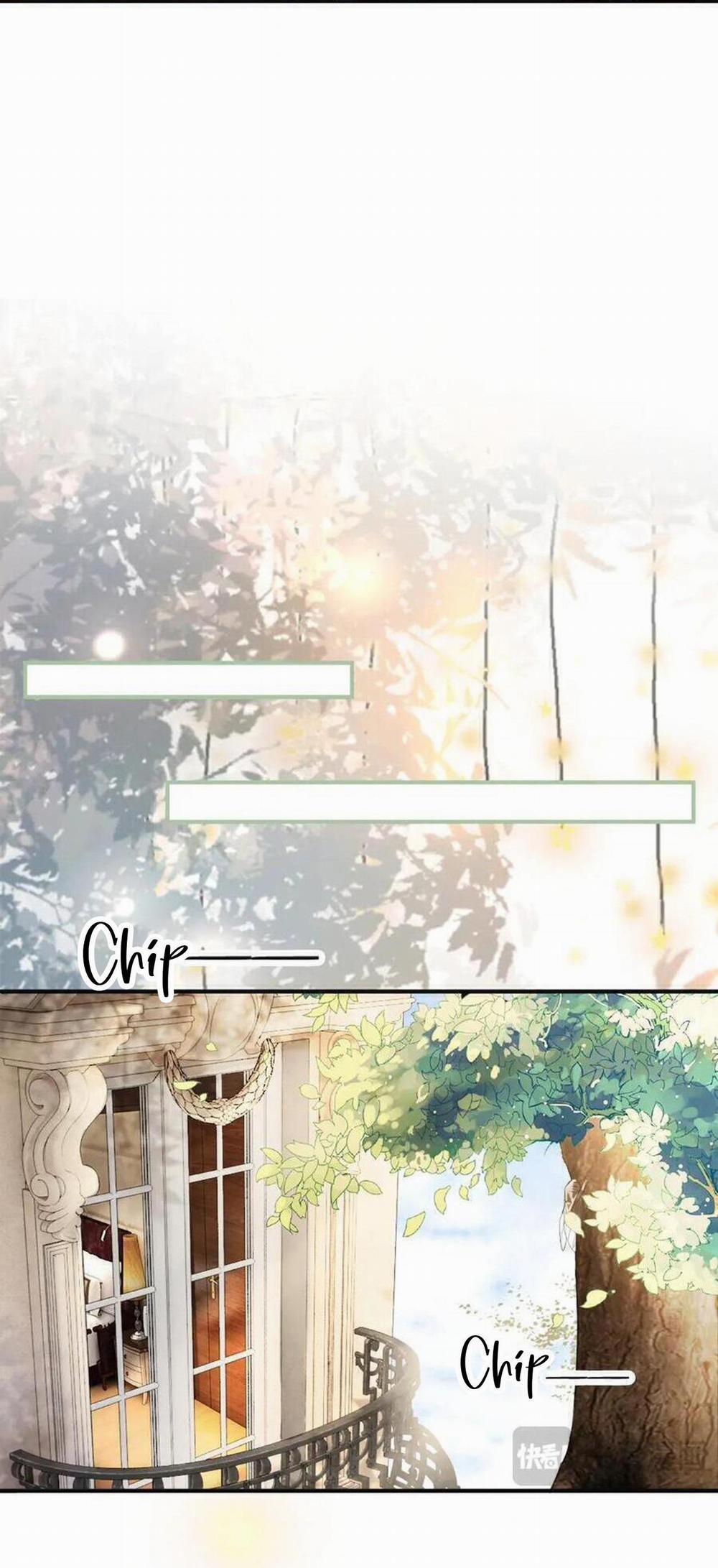 Tiểu Thiếu Gia Dựa Vào Nhan Sắc Càn Quét Toàn Hệ Thống 52 trang 14