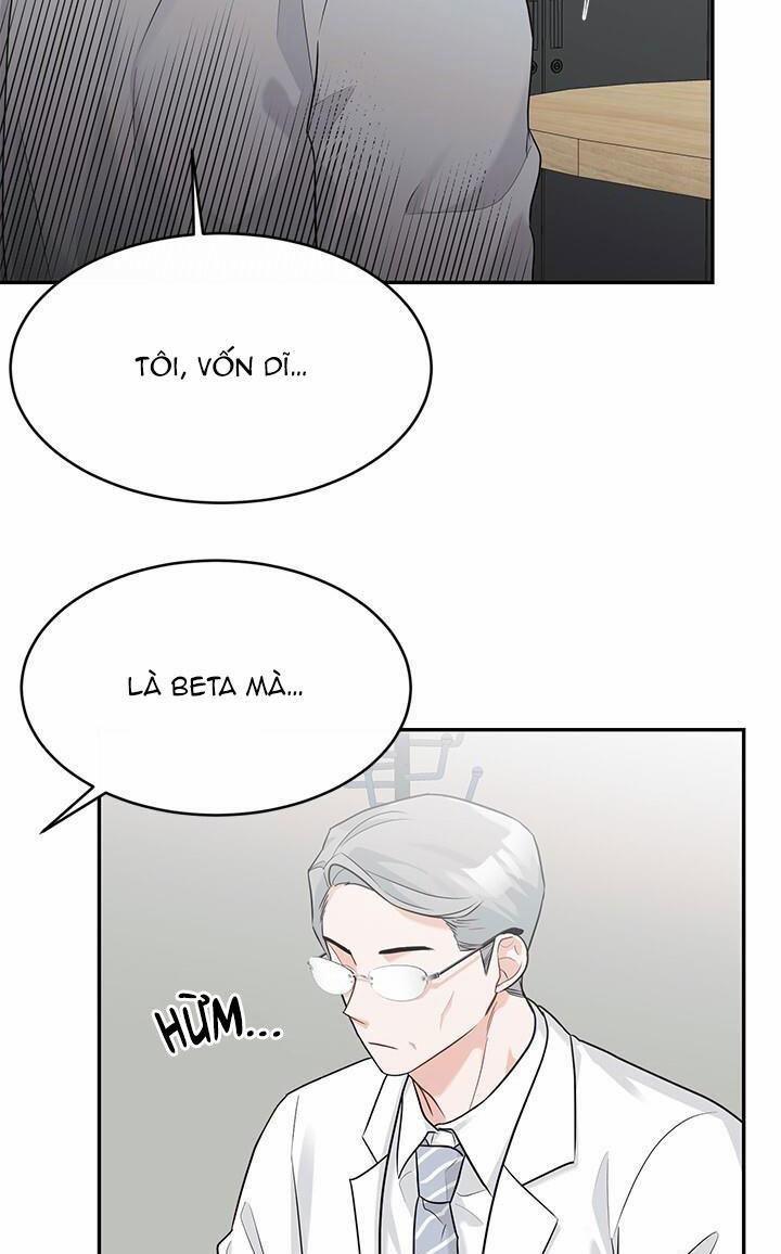 Tiểu Thử: Bắt Đầu Mùa Hè 24 trang 6