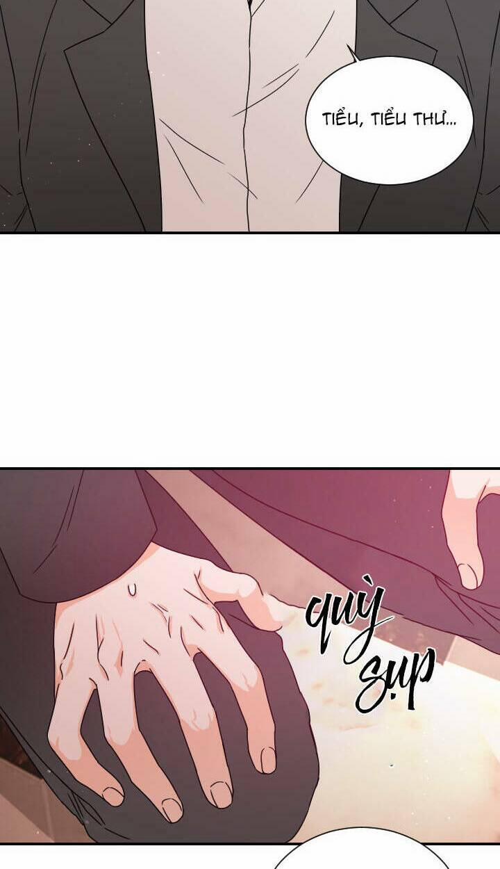 Tiểu Thư Bé Bỏng Đáng Yêu! 145 trang 41