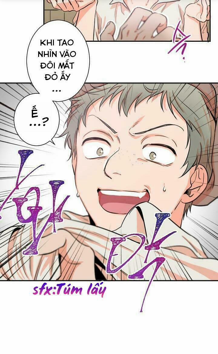 Tiểu Thư Bé Bỏng Đáng Yêu! 16 trang 11