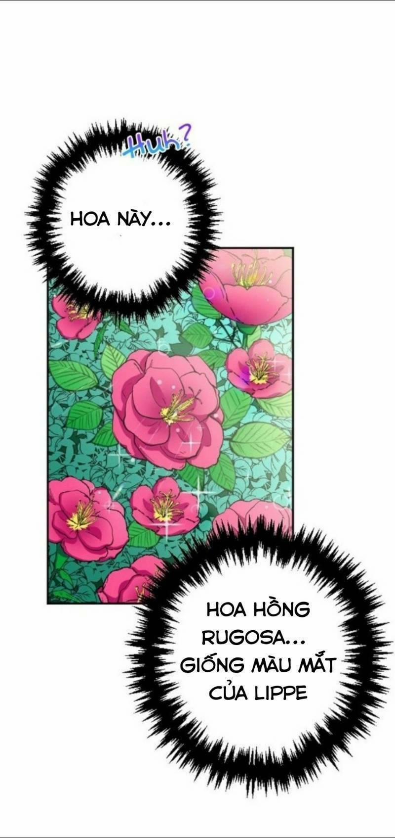 Tiểu Thư Bé Bỏng Đáng Yêu! 70 trang 23