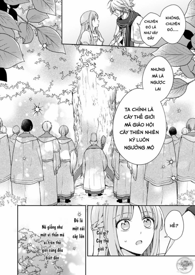 Tiểu Thư Bị Ngược Đãi Nay Đã Trở Thành Chủ Nhân Của Cây Thế Giới 2 trang 10