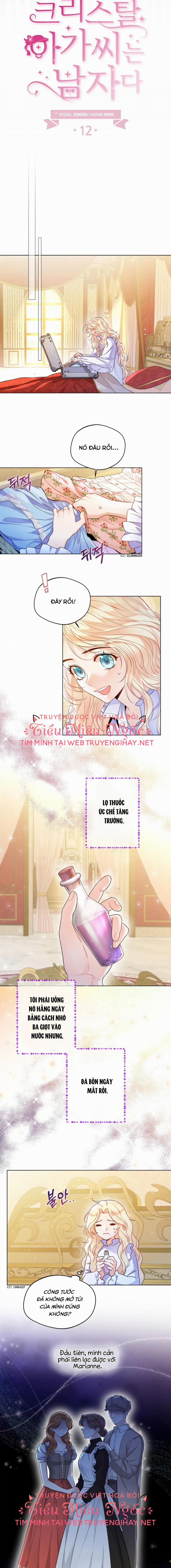 Tiểu Thư Crystal Thật Ra Là Con Trai 12 trang 3