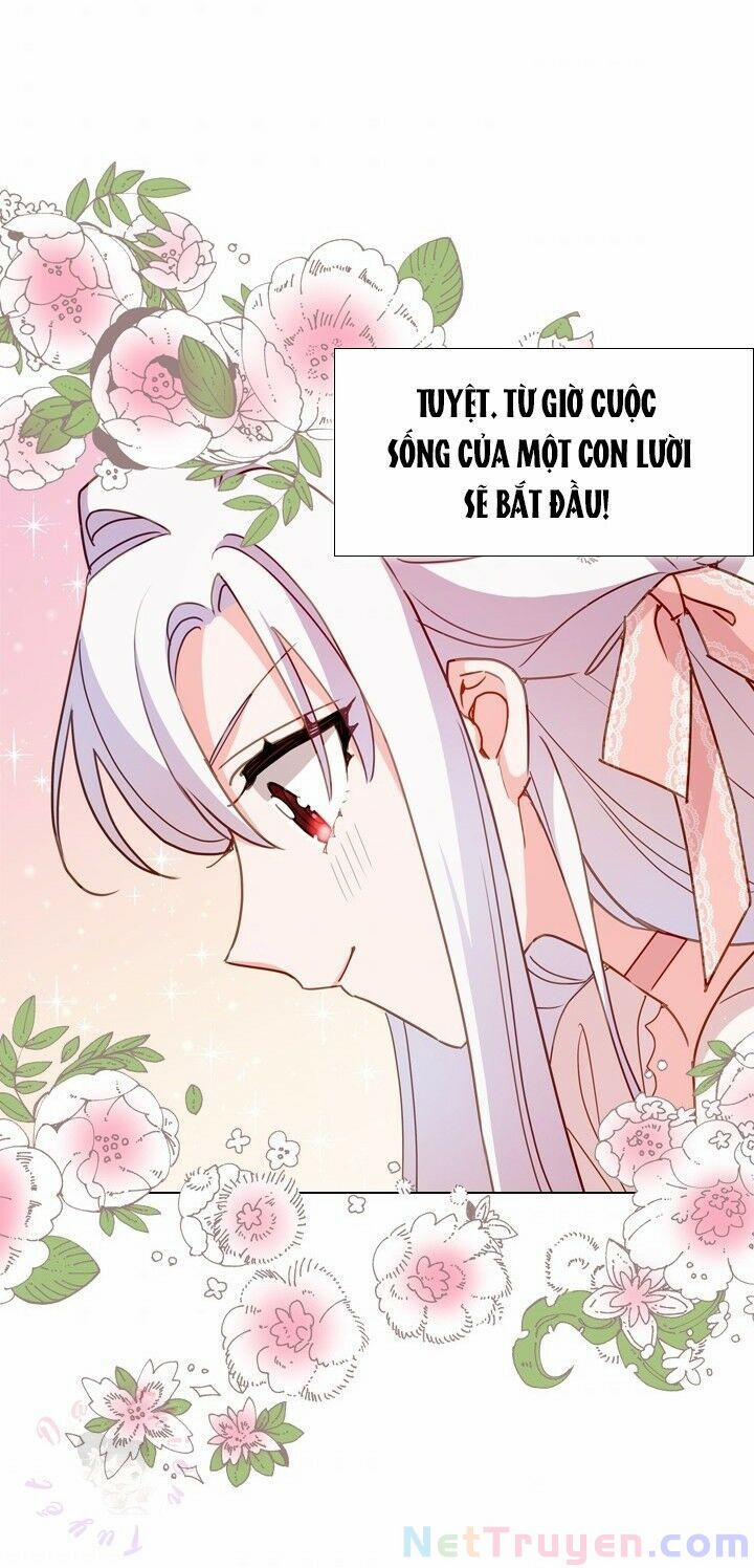 Tiểu Thư Muốn Được Nghỉ Ngơi 8 trang 51