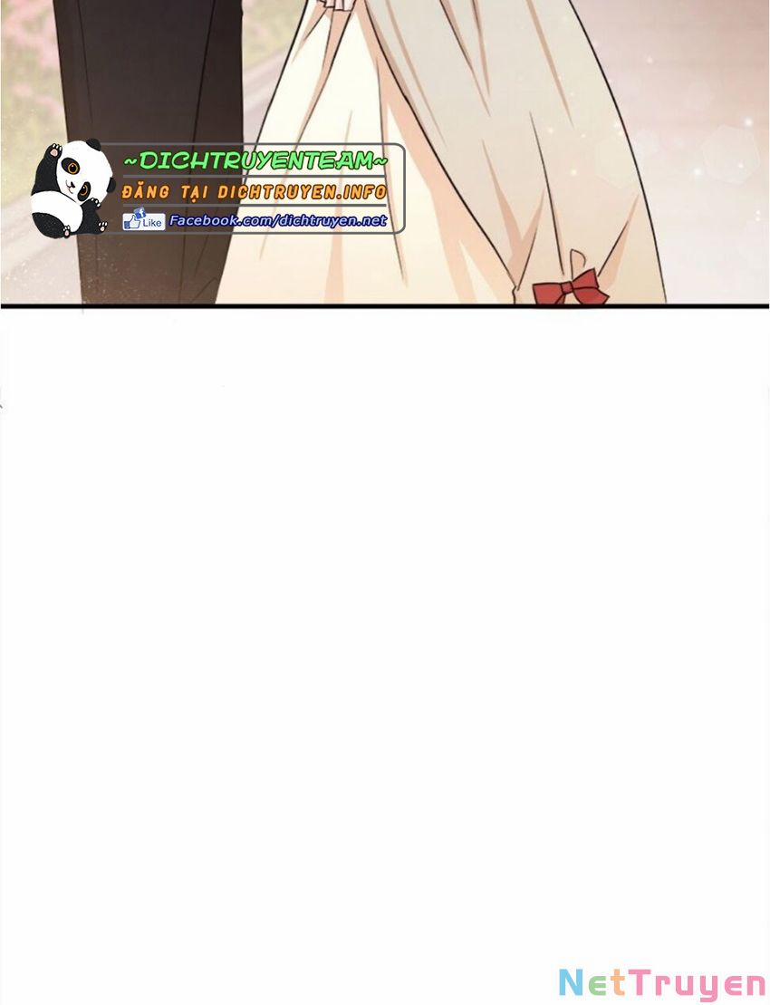 Tiểu Thư Scarlet, Em Không Muốn Trả Thù Sao? 11 trang 8