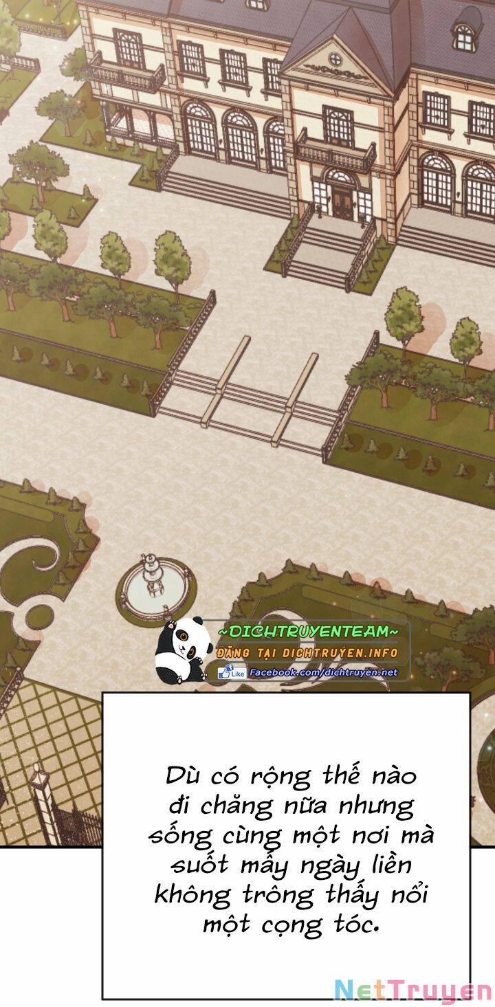 Tiểu Thư Scarlet, Em Không Muốn Trả Thù Sao? 13 trang 19