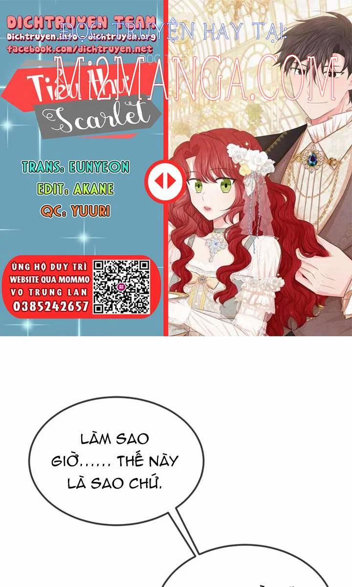 Tiểu Thư Scarlet, Em Không Muốn Trả Thù Sao? 21 trang 0