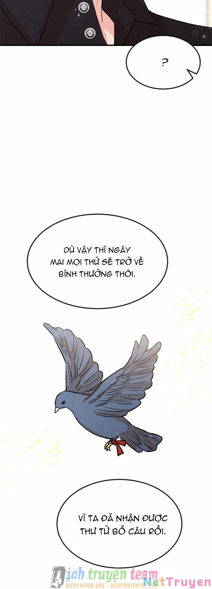 Tiểu Thư Scarlet, Em Không Muốn Trả Thù Sao? 29 trang 49