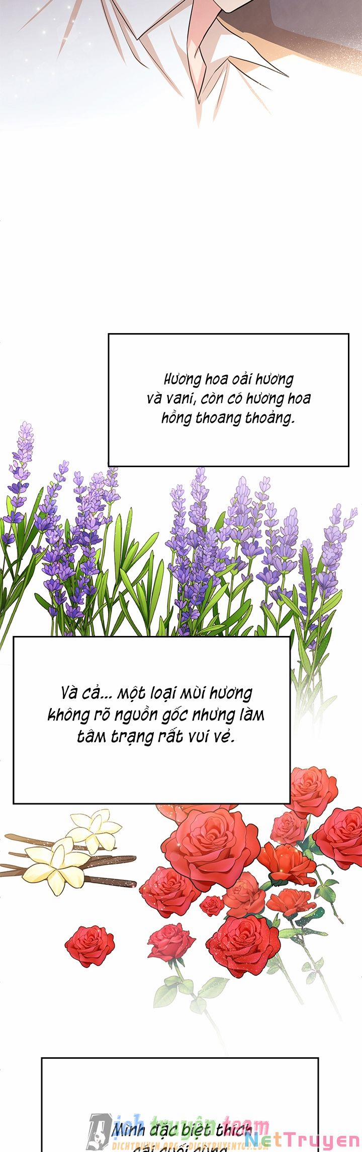 Tiểu Thư Scarlet, Em Không Muốn Trả Thù Sao? 33 trang 4