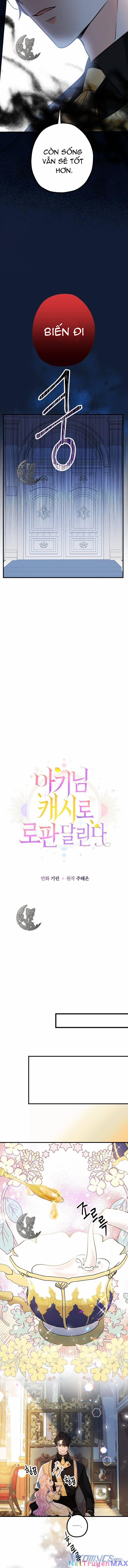 Tiểu Thư Tích Tiền Đi Bụi 22 trang 11