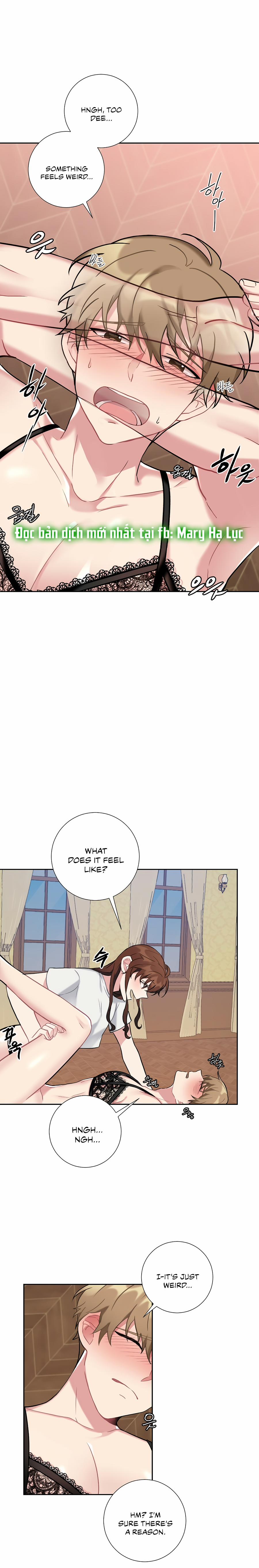 Tiểu Thư Và Dàn Hầu Nam Mlem 18 trang 19