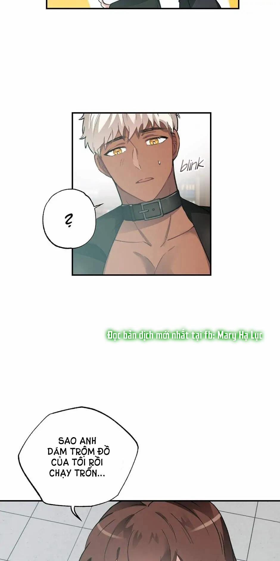 Tiểu Thư Và Dàn Hầu Nam Mlem 38 trang 19