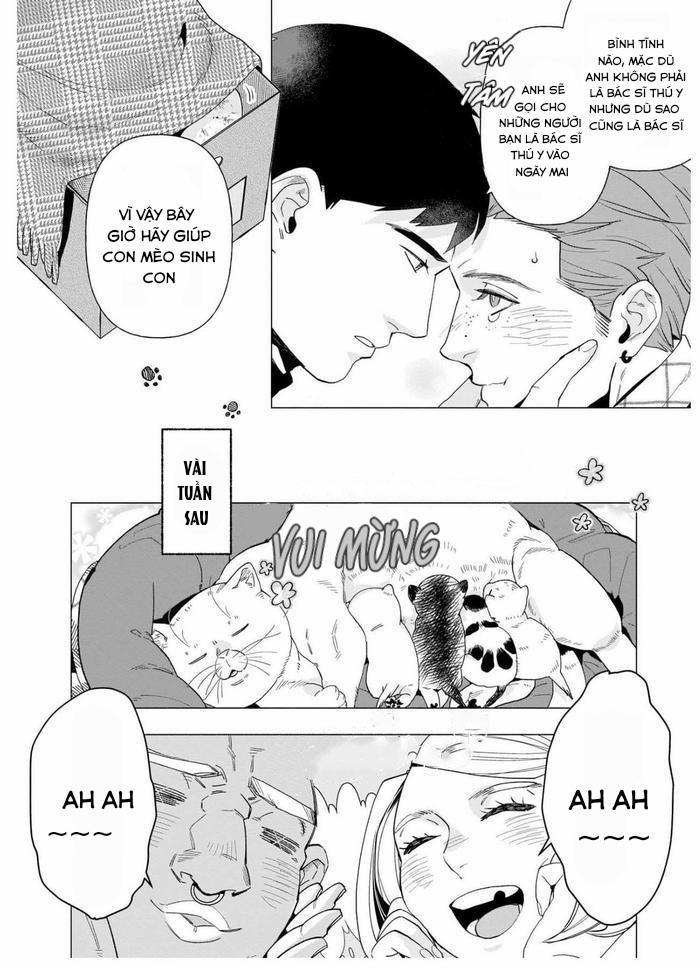 TIỂU THUYẾT GIA CỐ CHẤP BỊ NHUỐM MÀU BỞI TÌNH YÊU 6 trang 8