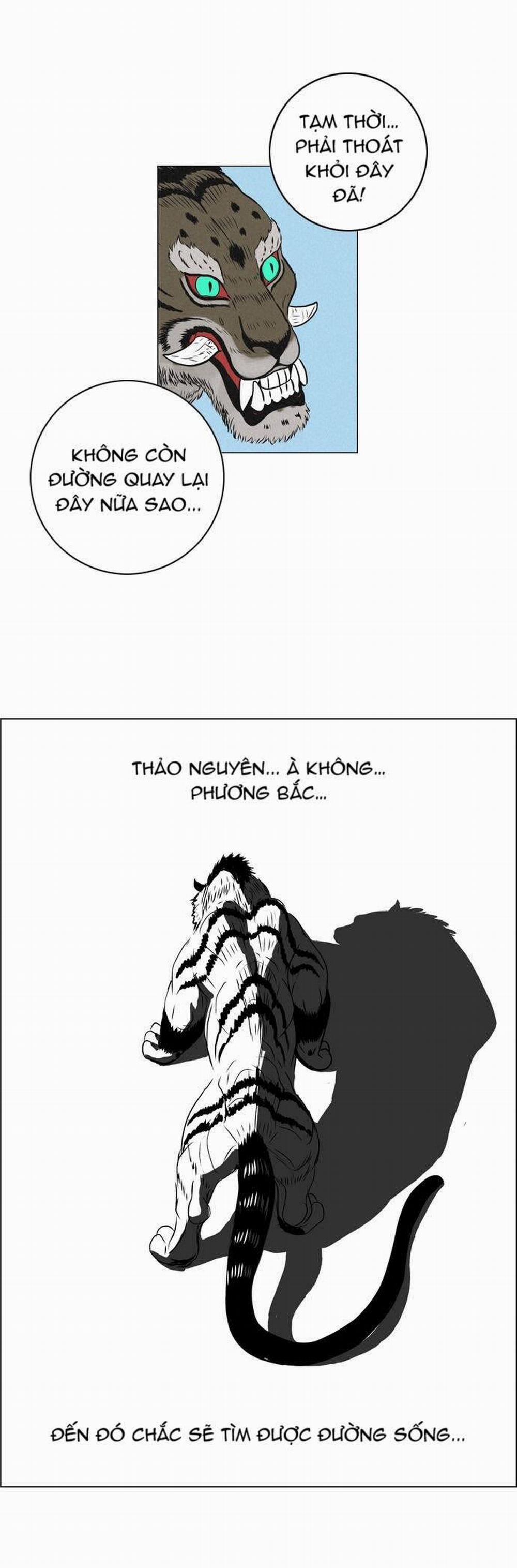 Tiger Brother 10 trang 22