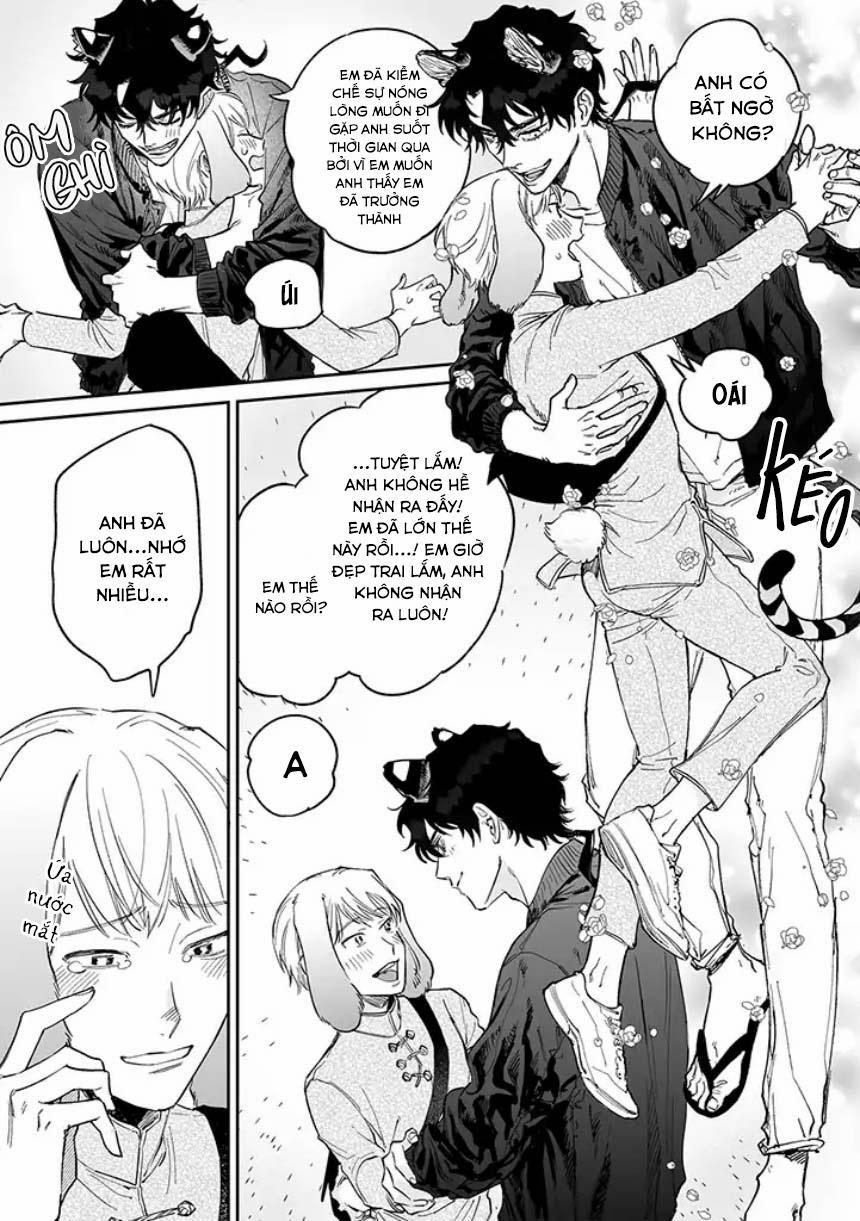 Tiger Bunny (END) 2.1 trang 5