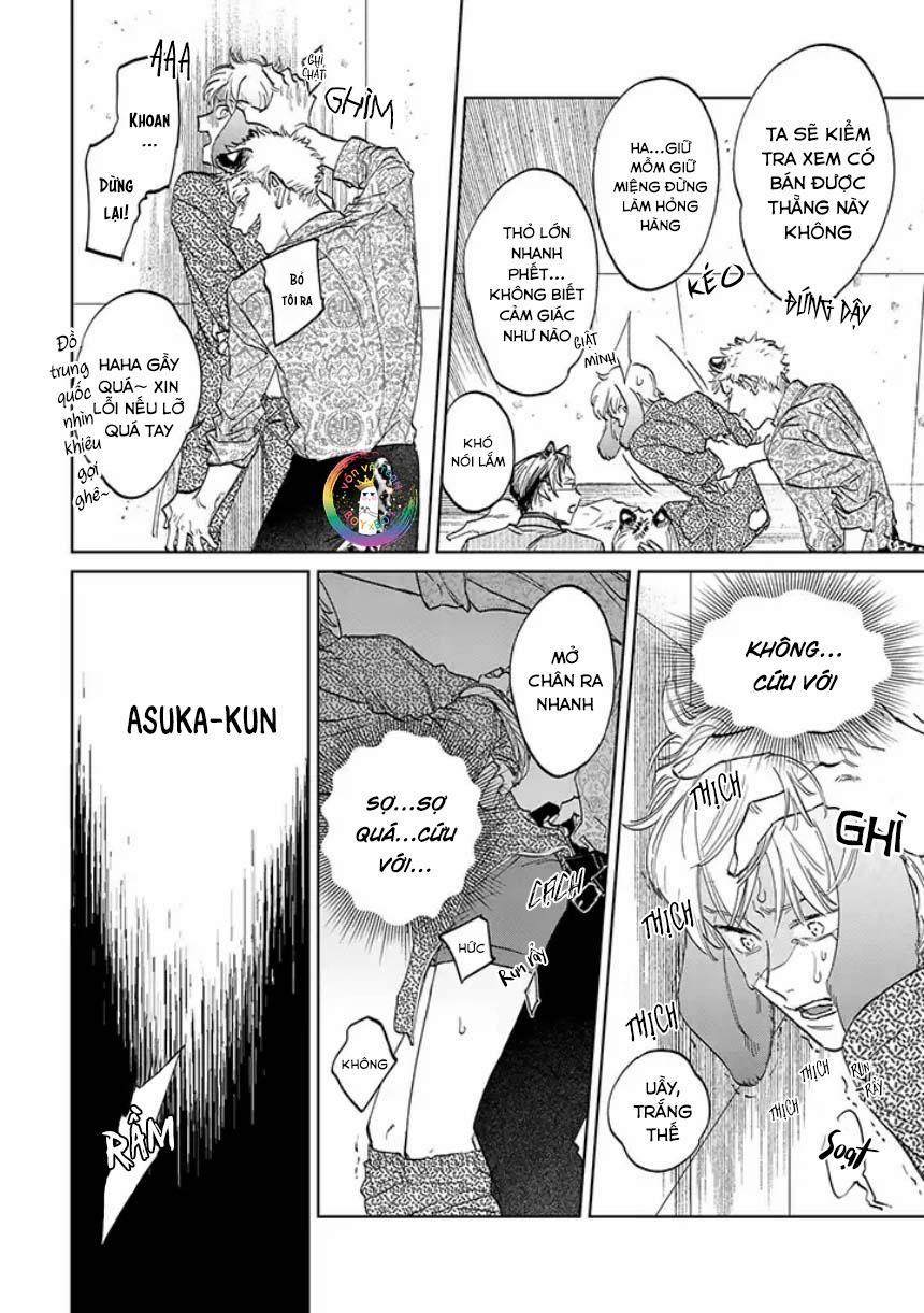 Tiger Bunny (END) 3.2 trang 13