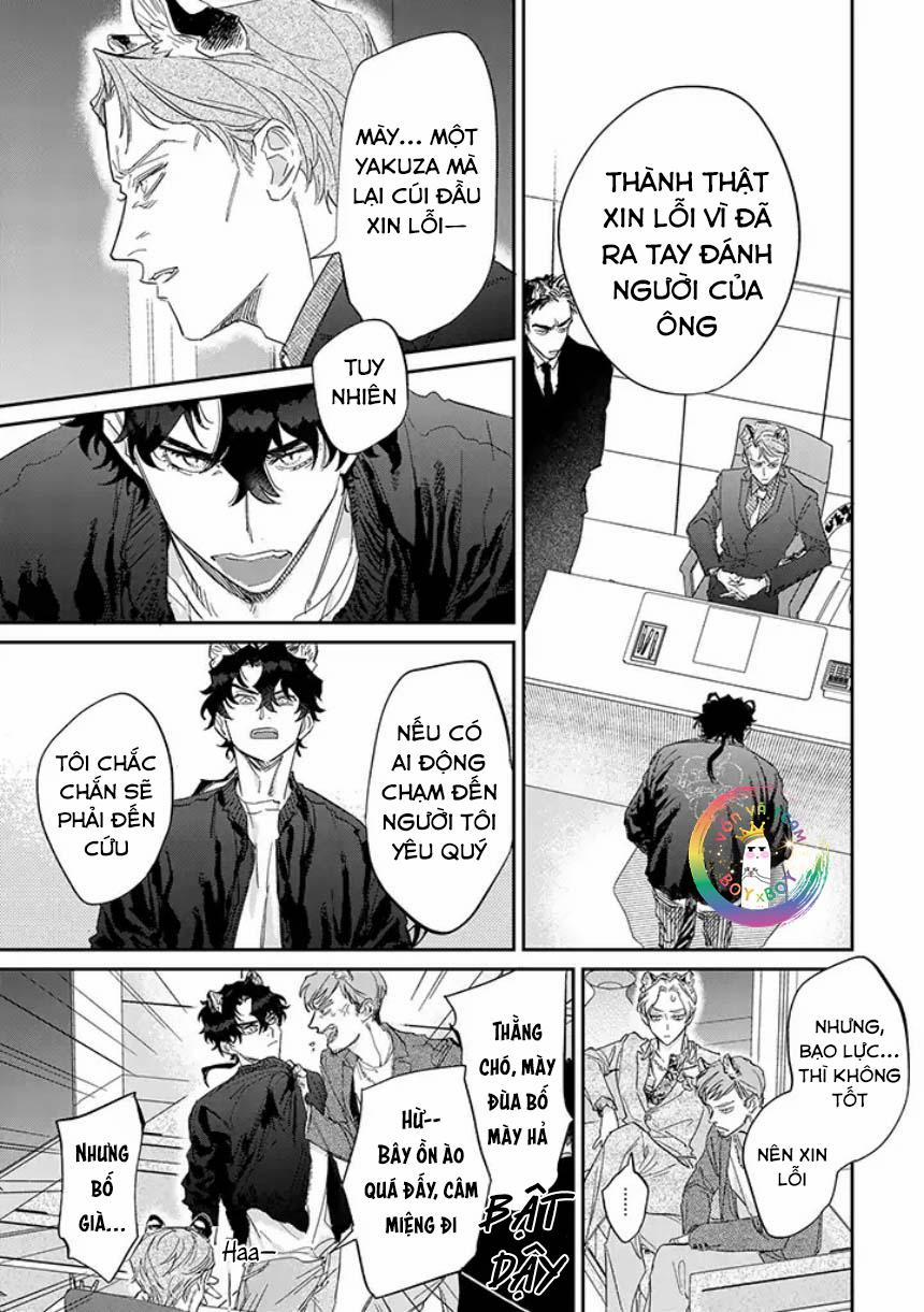 Tiger Bunny (END) 4.2 trang 1