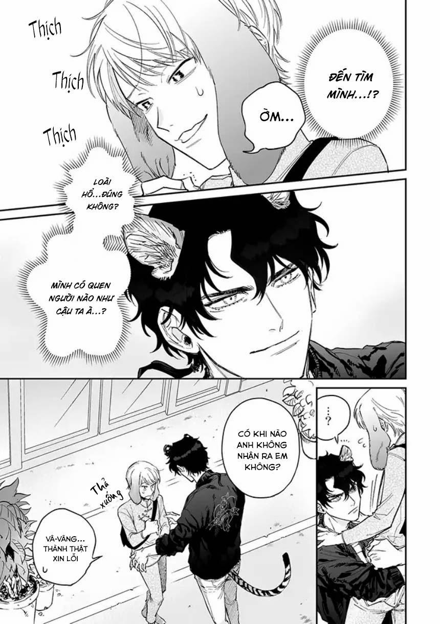 Tiger Bunny 2.1 trang 1