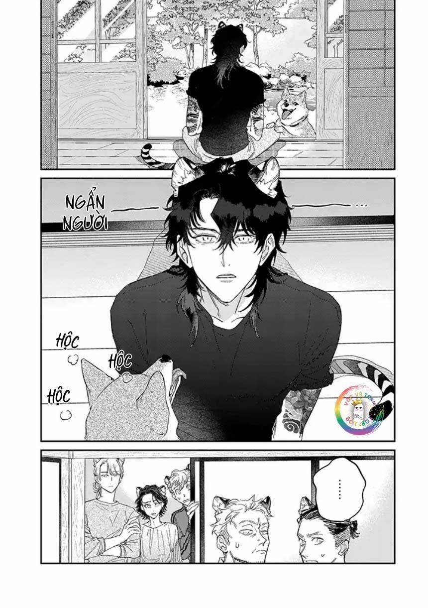 Tiger Bunny 4.1 trang 1