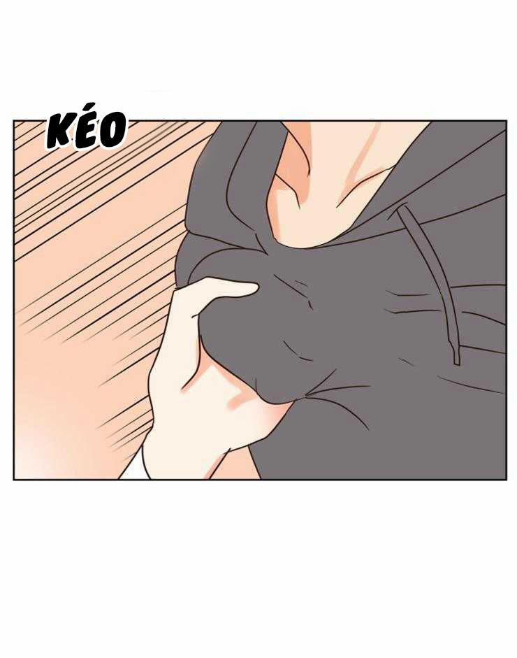 Tìm kiếm giá trị tình yêu 34 trang 15