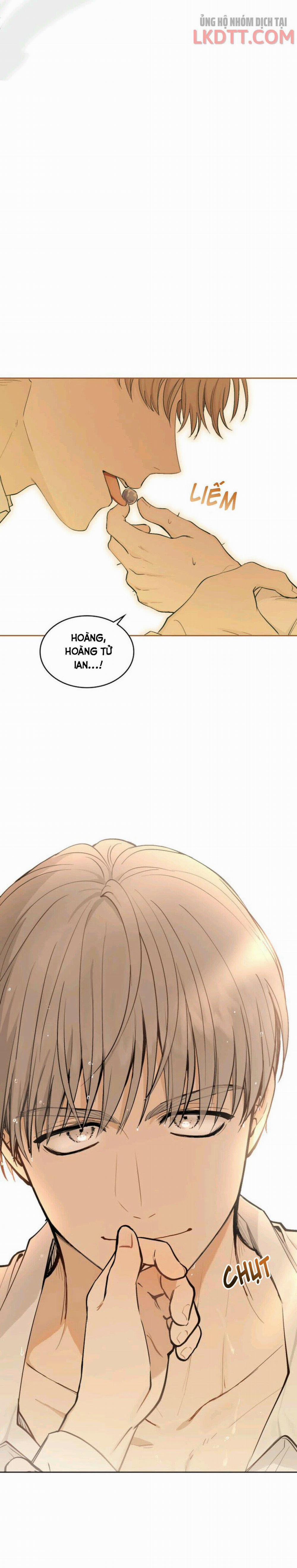 Tìm Lại Camellia 0 trang 11