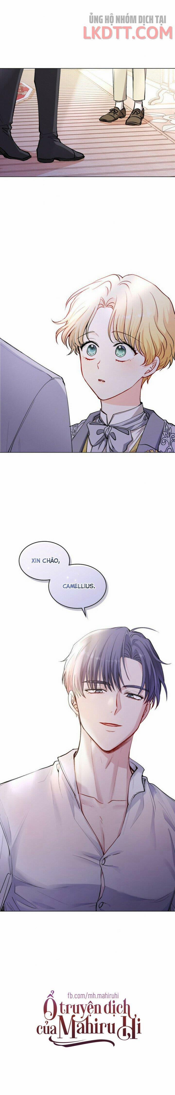 Tìm Lại Camellia 11.2 trang 8