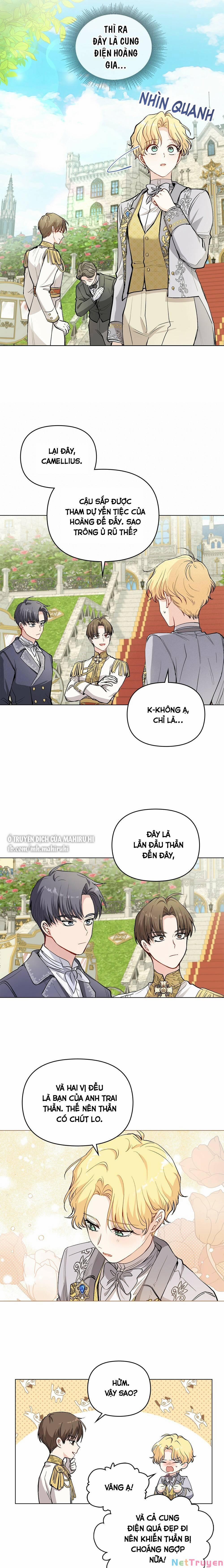 Tìm Lại Camellia 12 trang 11