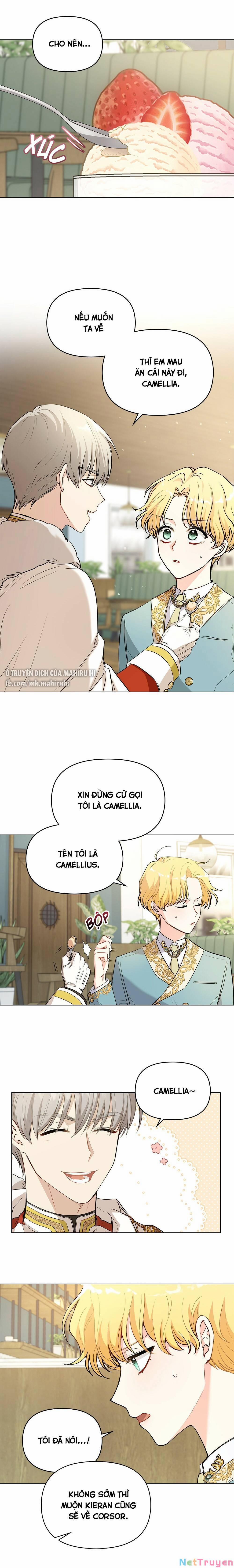 Tìm Lại Camellia 17 trang 11