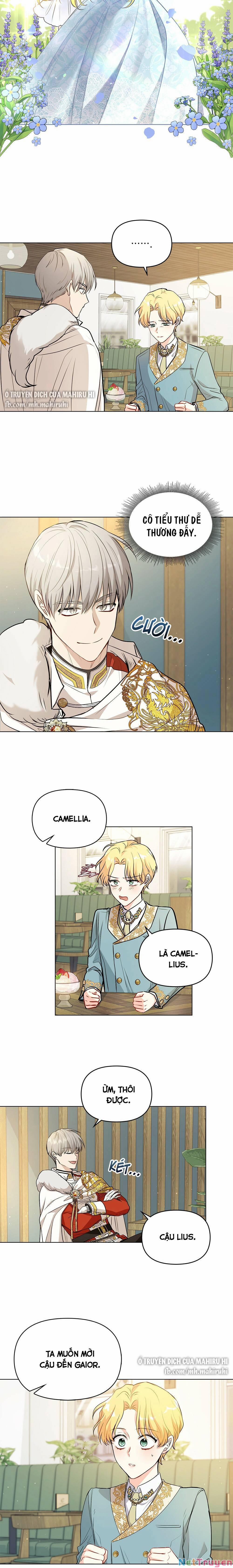 Tìm Lại Camellia 17 trang 13