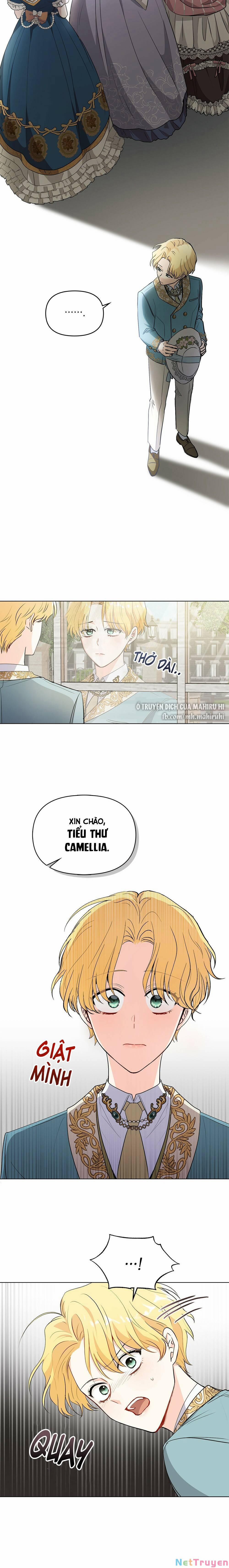 Tìm Lại Camellia 17 trang 5