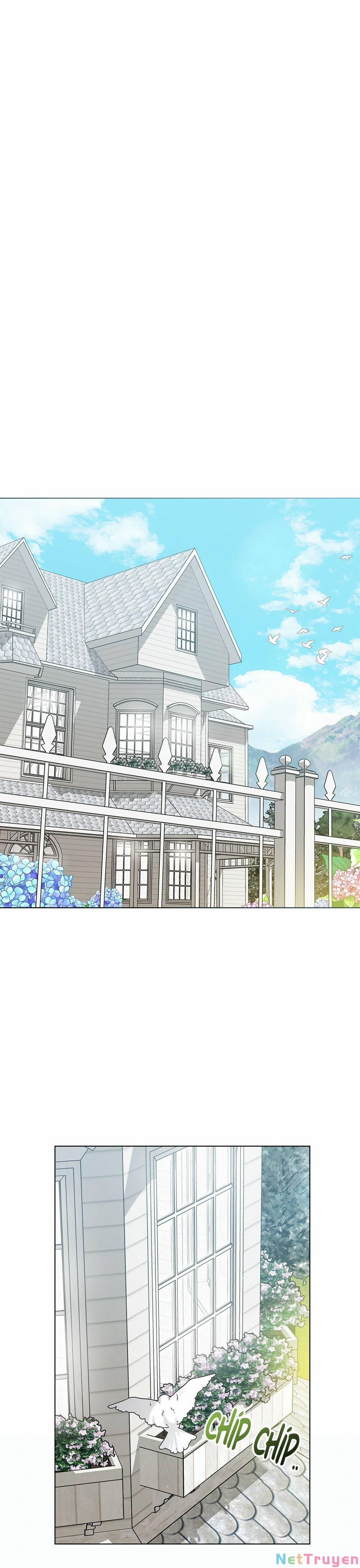 Tìm Lại Camellia 31 trang 22