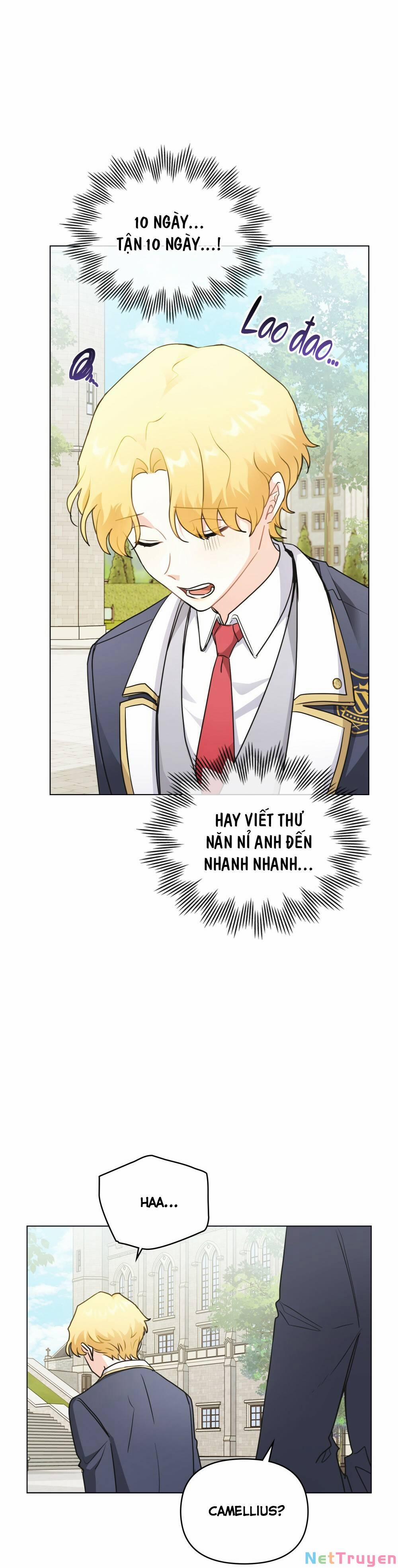 Tìm Lại Camellia 36 trang 3