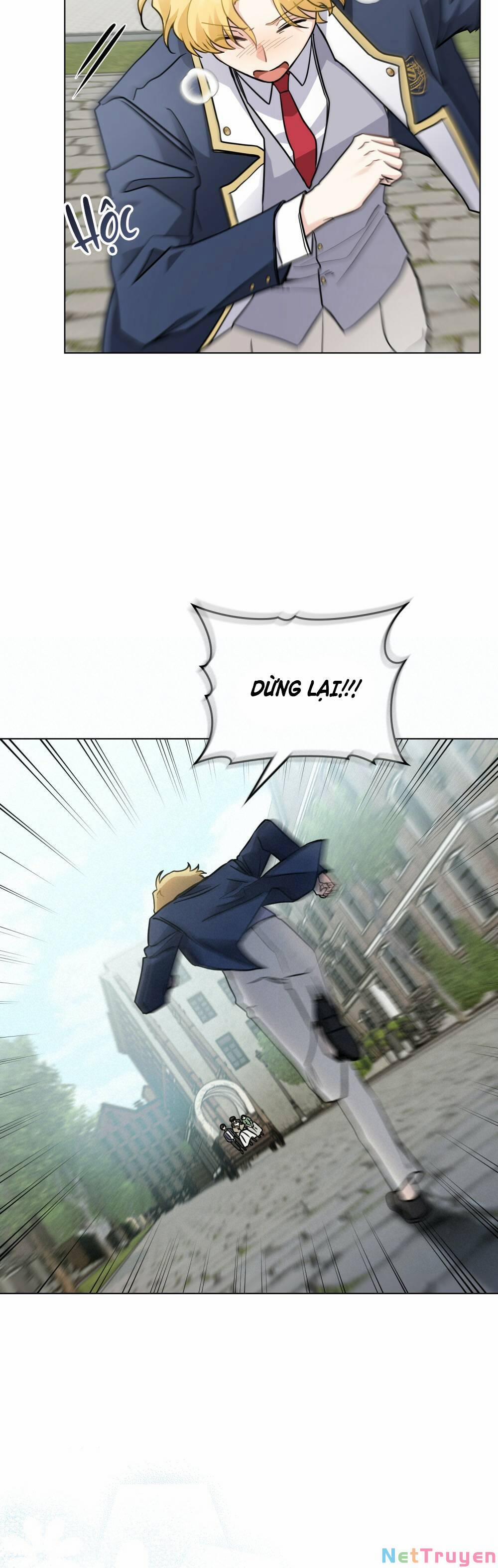 Tìm Lại Camellia 37 trang 11