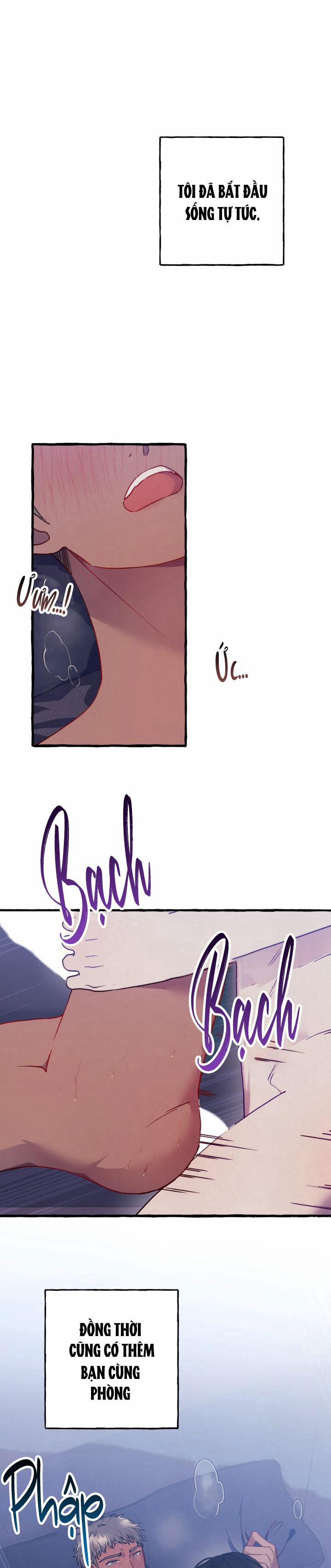 Tìm Phòng Trọ 1 trang 0