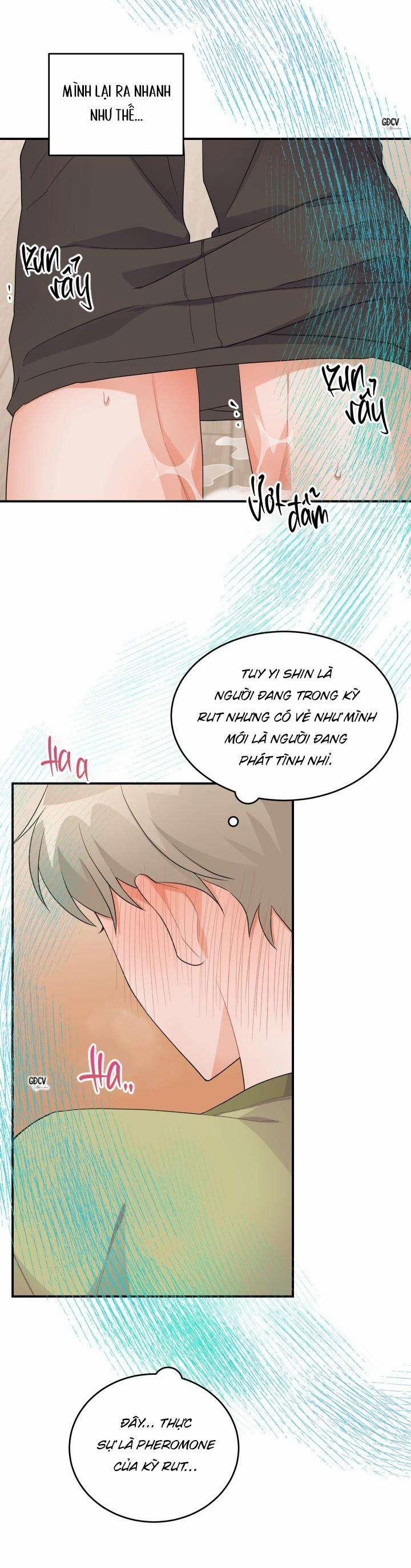 Tín Hiệu Lặp Lại 0 0 trang 13