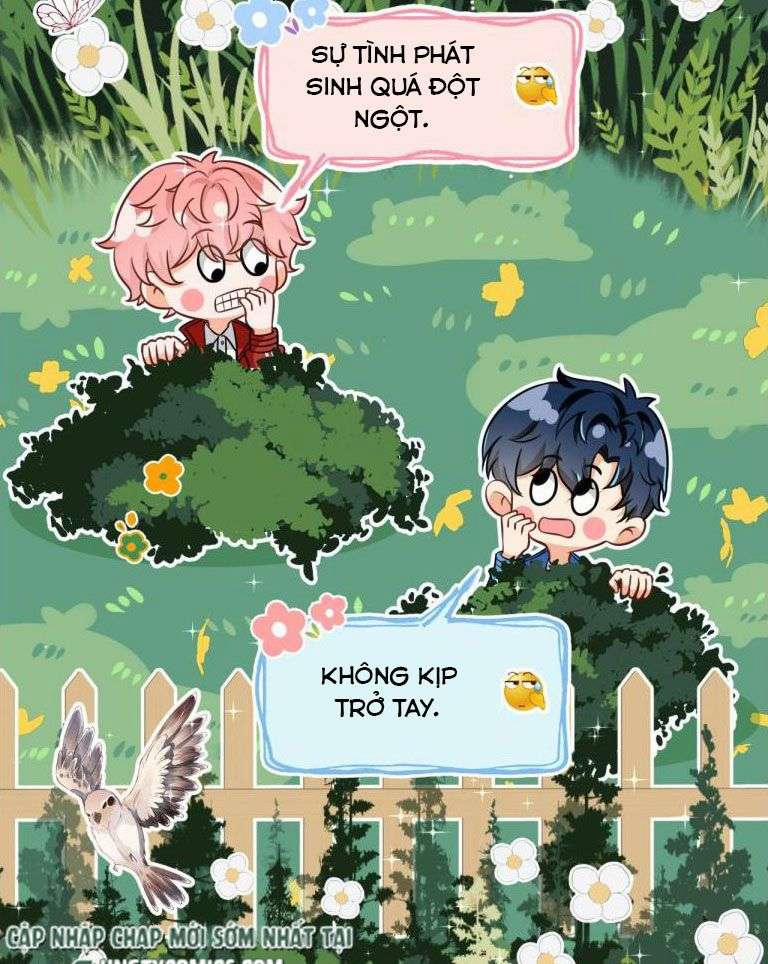 Tin Tức Tố Nói Chúng Ta Không Có Khả Năng 42 trang 3