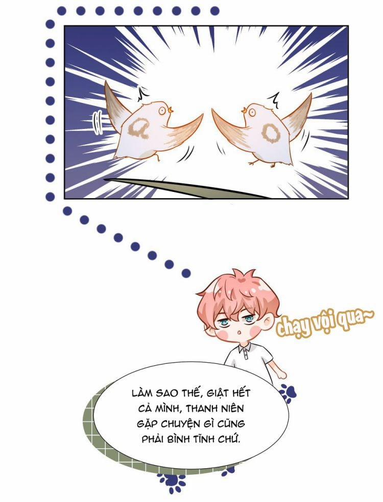 Tin Tức Tố Nói Chúng Ta Không Có Khả Năng 8 trang 55