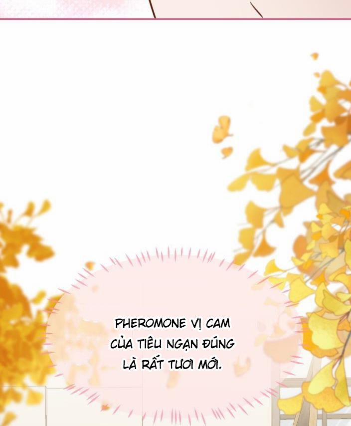 Tín Tức Tố Nói Chúng Ta Không Thể 27 trang 38